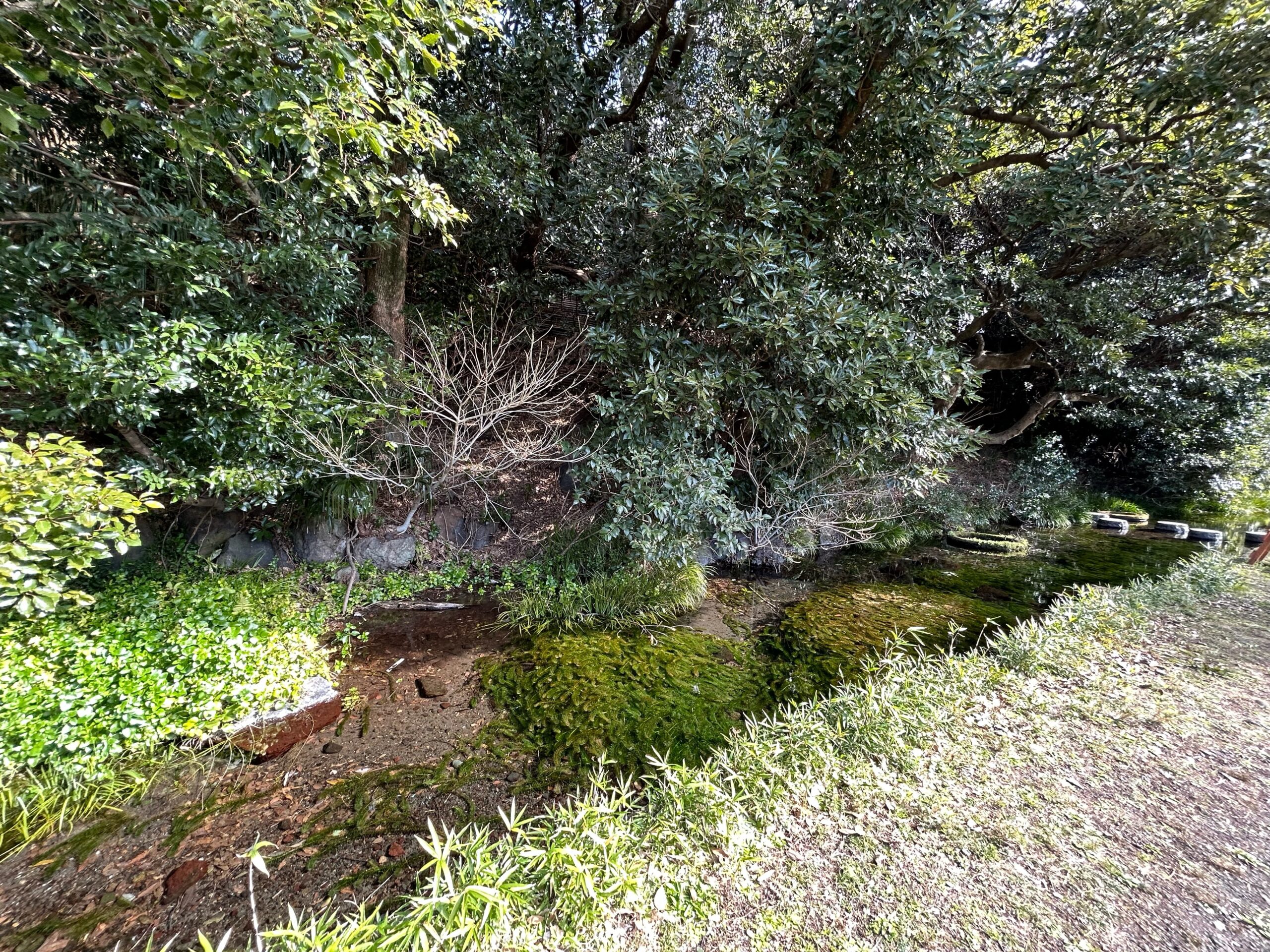 長泉町最南端。まちに残されたふるさとの森。窪の湧水（くぼのゆうすい）